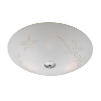 Потолочный светильник Orchid 183041-494112