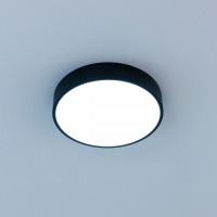 Потолочный светильник Купер CL72424V1