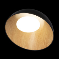 Потолочный светильник Egg 10197/500 Black